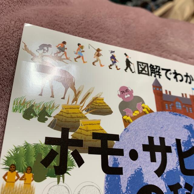 図解でわかるホモ・サピエンスの秘密 最新知見をもとにひも解く、おどろきの人類７０ エンタメ/ホビーの本(人文/社会)の商品写真