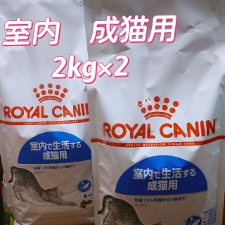 ロイヤルカナン(ROYAL CANIN)のロイヤルカナン インドア 猫 2Kg×2袋(ペットフード)