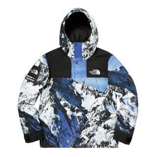 シュプリーム(Supreme)のSupreme The North Face Mountain Parka 雪山(マウンテンパーカー)