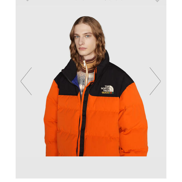 Gucci(グッチ)のgucci × the north face 大人気商品 メンズのジャケット/アウター(ダウンジャケット)の商品写真