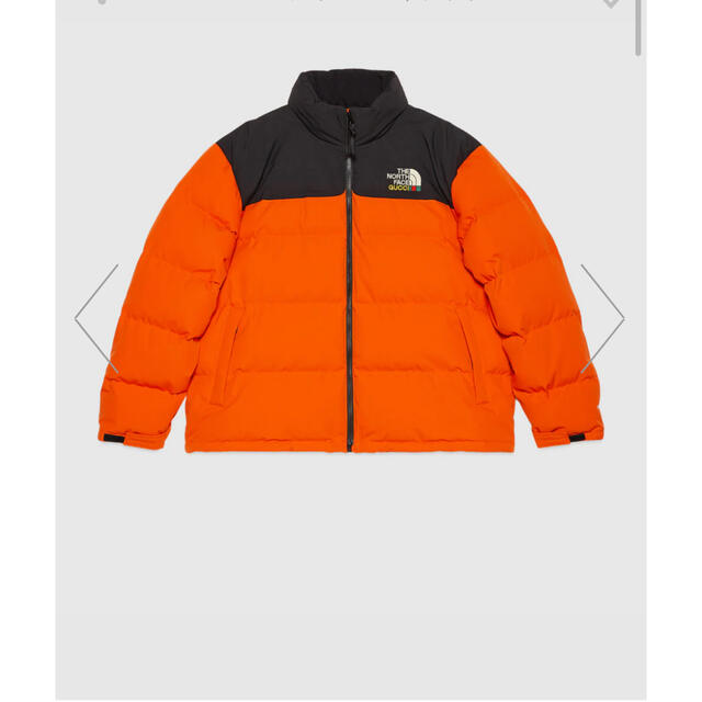 Gucci(グッチ)のgucci × the north face 大人気商品 メンズのジャケット/アウター(ダウンジャケット)の商品写真