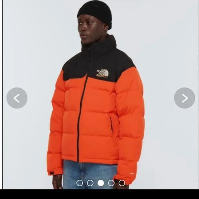 Gucci(グッチ)のgucci × the north face 大人気商品 メンズのジャケット/アウター(ダウンジャケット)の商品写真