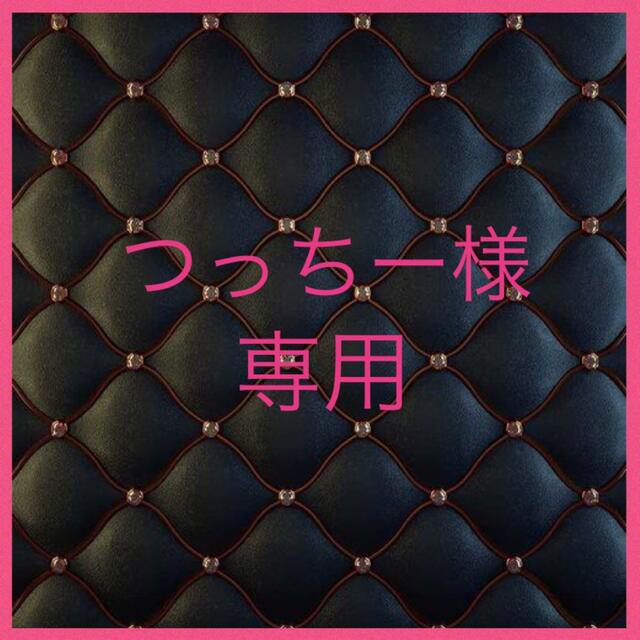 つっちー様 専用 | visitsantaflavia.it