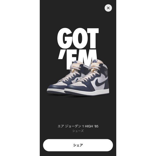 Nike Air Jordan 1 High 85 "Georgetown"靴/シューズ