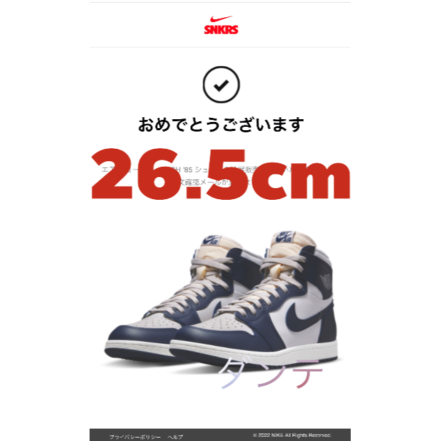 Nike Air Jordan 1 High 85 Georgetown