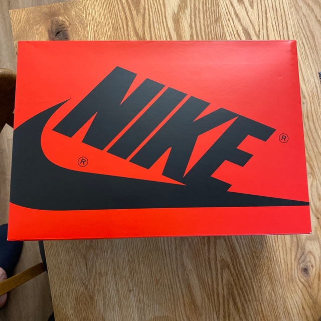 【限定値下げ】Nike Air Jordan 1 ジョーダン AJ1 27.0