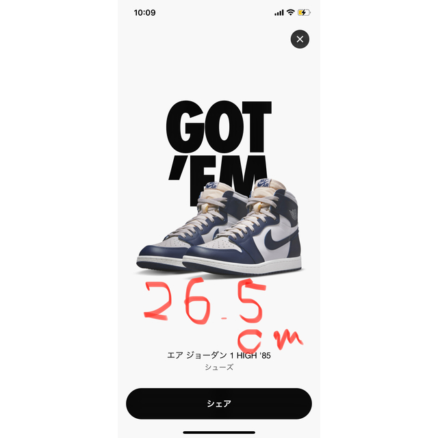 Nike Air Jordan 1 High85 Georgetown 26.5