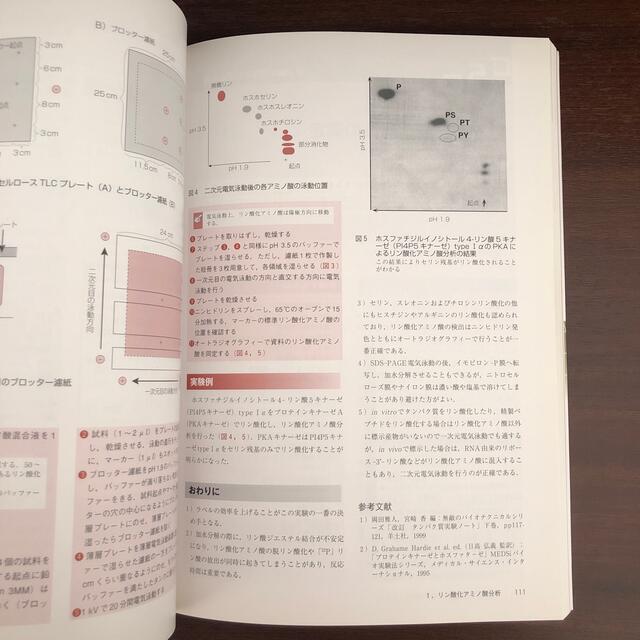 タンパク質実験ハンドブック 分離・精製，質量分析，抗体作製，分子間相互作用解析 エンタメ/ホビーの本(科学/技術)の商品写真