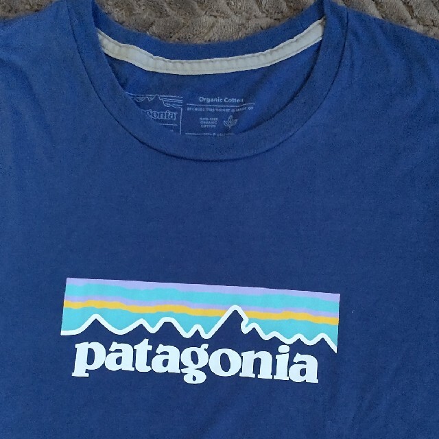 patagonia(パタゴニア)のpatagonia　Tシャツ レディースのトップス(シャツ/ブラウス(半袖/袖なし))の商品写真