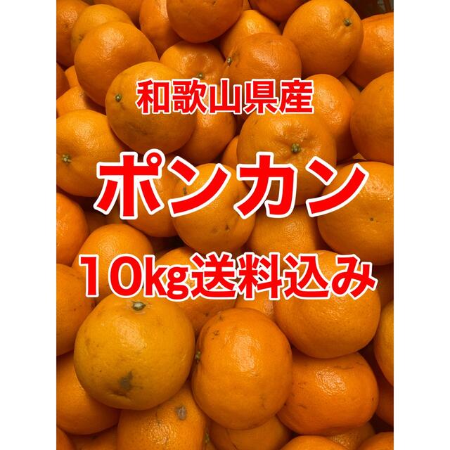 和歌山県産　ポンカン　小玉　家庭用　10㎏　送料込み 食品/飲料/酒の食品(フルーツ)の商品写真