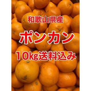 和歌山県産　ポンカン　小玉　家庭用　10㎏　送料込み(フルーツ)