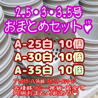 プラ鉢30個おまとめセット♪【2.5号・3号・3.5号鉢各10個】プレステラ多肉(プランター)