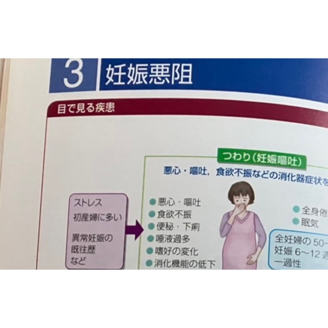 日本看護協会出版会(ニホンカンゴキョウカイシュッパンカイ)のウエルネスからみた母性看護過程 エンタメ/ホビーの本(健康/医学)の商品写真