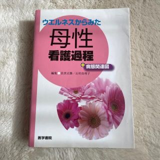 ニホンカンゴキョウカイシュッパンカイ(日本看護協会出版会)のウエルネスからみた母性看護過程(健康/医学)