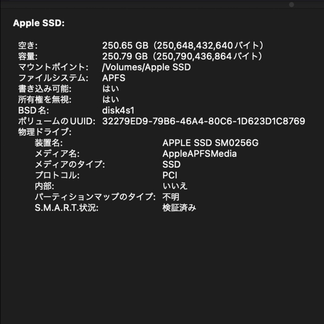 Apple(アップル)のApple純正 256GB SSD Samsung スマホ/家電/カメラのPC/タブレット(PCパーツ)の商品写真