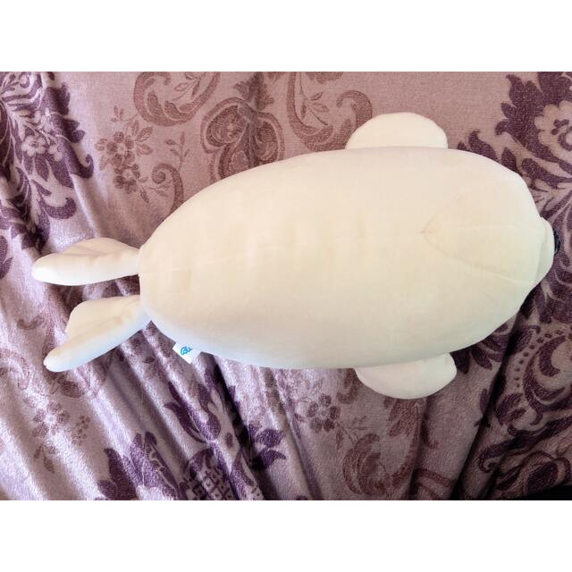 新江ノ島水族館 ぬいぐるみ アザラシの通販 by REIYAshop|ラクマ 新江ノ島水族館 ぬいぐるみ アザラシの通販 by REIYAshop|ラクマ