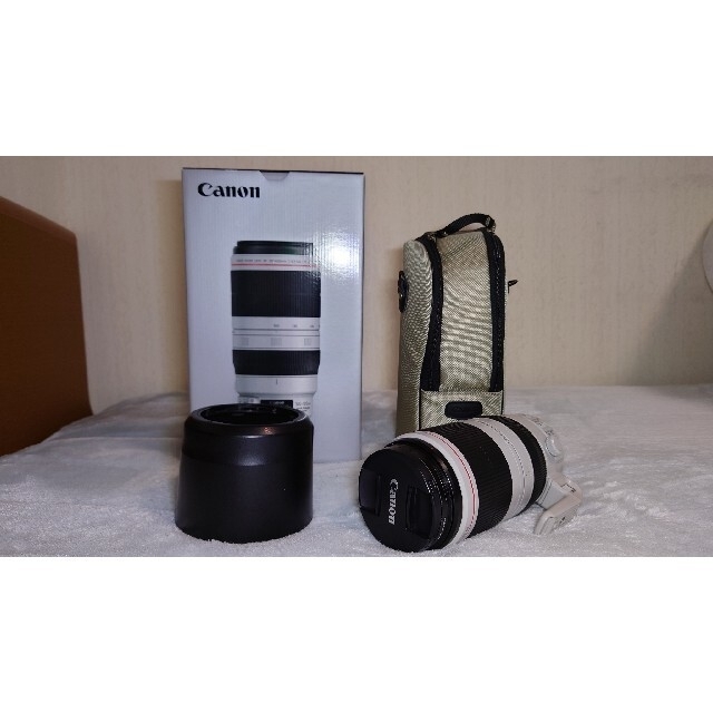 Canon EF100-400mm F4.5-5.6L is2 usm