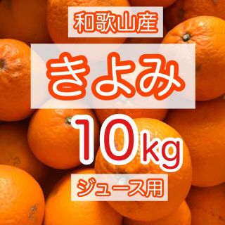 数量限定⭐️訳あり　きよみ　大きいサイズ　ジュース用　10kg(フルーツ)