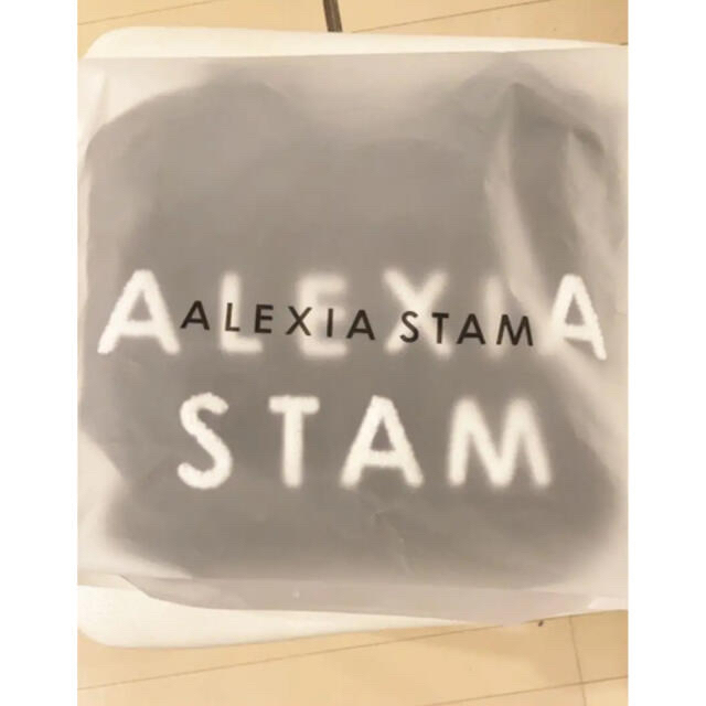 ALEXIA STAM(アリシアスタン)の新品　Alexiastam  刺繍ロゴスウェット メンズのトップス(スウェット)の商品写真