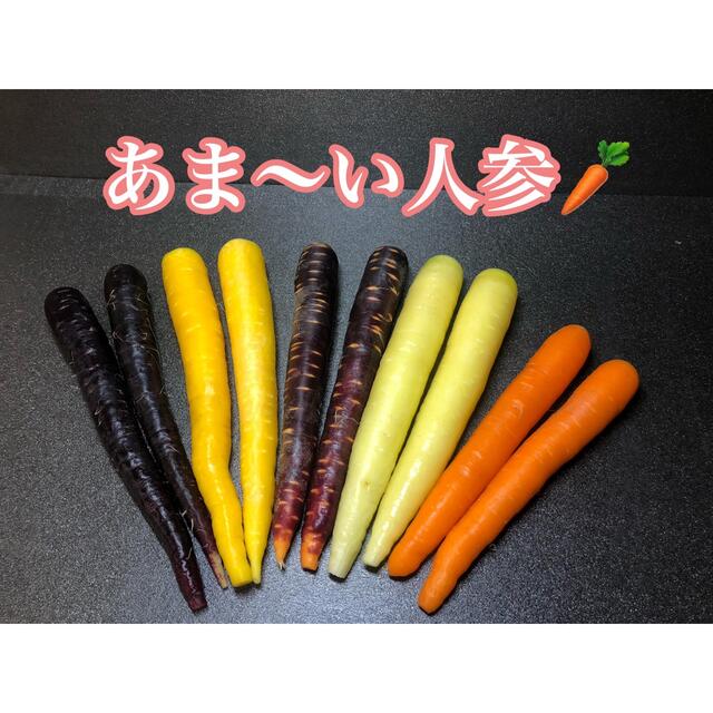 彩りフルーツにんじん 訳あり B品 1.7kg以上。無農薬 野菜 食品/飲料/酒の食品(野菜)の商品写真