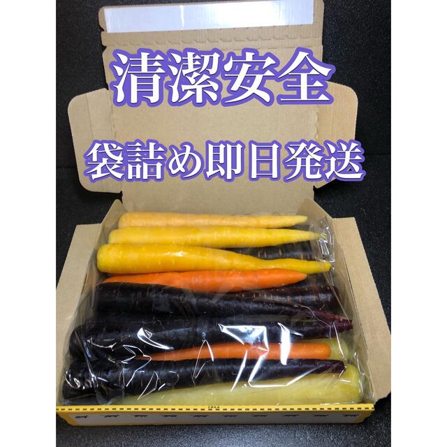 彩りフルーツにんじん 訳あり B品 1.7kg以上。無農薬 野菜 食品/飲料/酒の食品(野菜)の商品写真