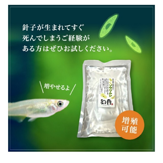 針子稚魚のエサ めだか 金魚 グッピー 熱帯魚 の通販 By ヘコアユ S Shop ラクマ 針子稚魚のエサ めだか 金魚 グッピー 熱帯魚 の通販 By ヘコアユ S Shop ラクマ