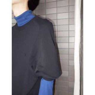 ラフシモンズ(RAF SIMONS)の【DUST CAPSULE COLLECTION】スウェット (スウェット)