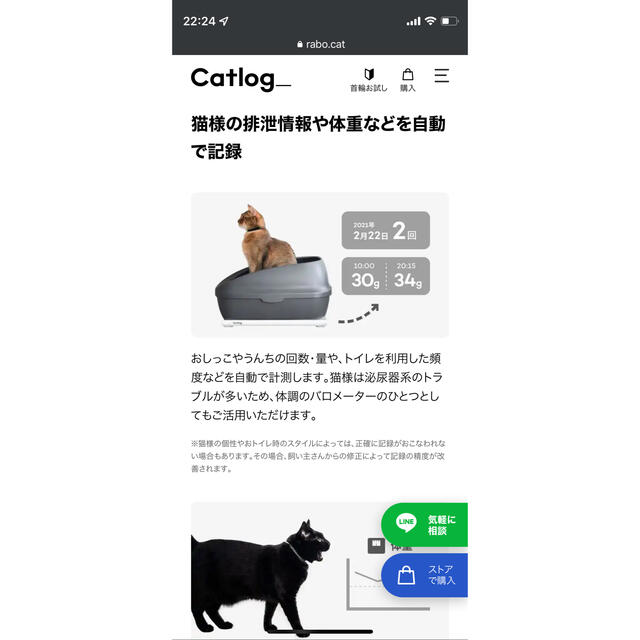 Catlog Board キャットログボード 新品未使用品 - 猫