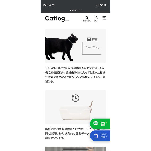 Catlog Board キャットログボード 新品未使用品 - 猫