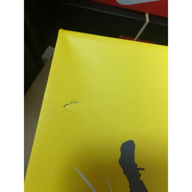 NIKE(ナイキ)のNike Air Jordan 4 "Tour Yellow  26.5 メンズの靴/シューズ(スニーカー)の商品写真
