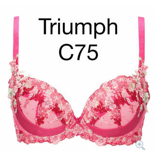 トリンプ(Triumph)のTriumph プレミアムデザイン 天使のブラ スリムライン0050 C75(ブラ)
