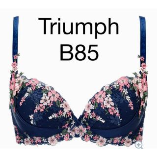 トリンプ(Triumph)のTriumph プレミアムデザイン 天使のブラ スリムライン0050 B85(ブラ)