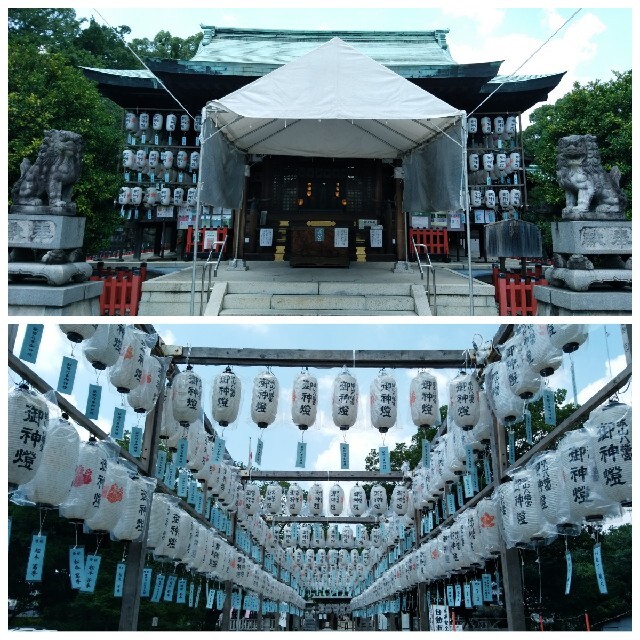 限定≪年越大祓≫【愛知　城山八幡宮】織田信長：末森城：織田信秀：麒麟がくる エンタメ/ホビーのコレクション(その他)の商品写真