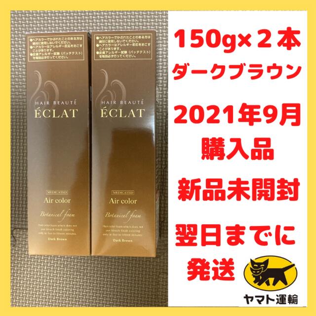 【150グラム2本セット】フューチャーラボ ヘアボーテ エクラ ダークブラウン