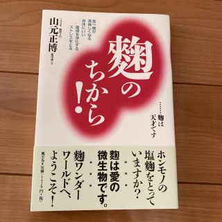 麹のちから! : 食べ物が美味しくなる 身体にいい 環境を浄化する (住まい/暮らし/子育て)