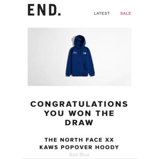 ザノースフェイス(THE NORTH FACE)のthe north face kaws popover hoody  (パーカー)