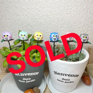 ハンドメイド  ガーデンピック　福を呼ぶカラフルフクロウさんピック　多肉植物(その他)