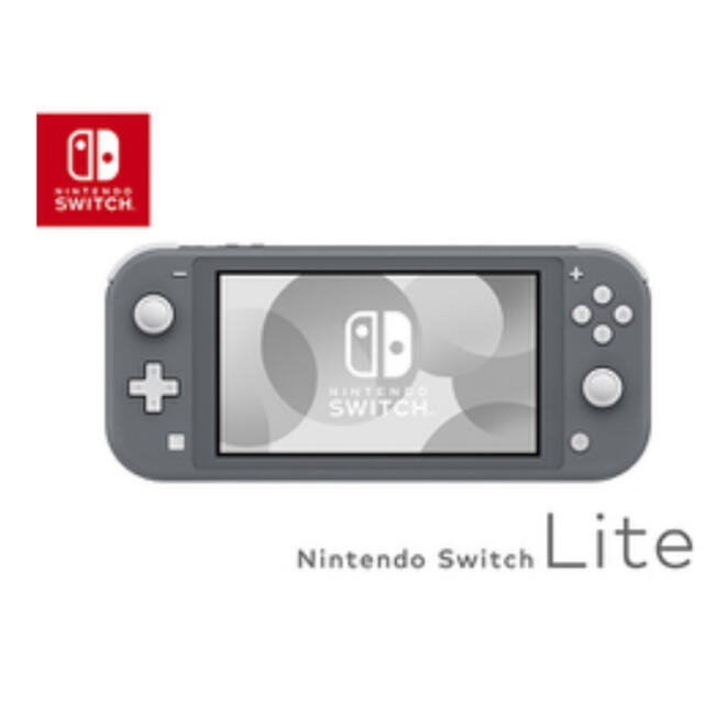 Nintendo Switch(ニンテンドースイッチ)のNintendo Switch LITE グレー エンタメ/ホビーのゲームソフト/ゲーム機本体(家庭用ゲーム機本体)の商品写真