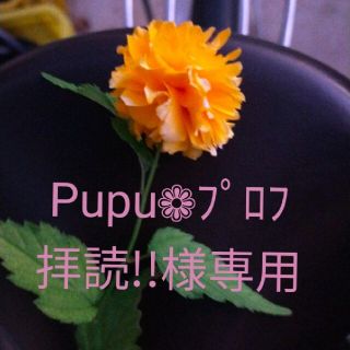 Pupu❁プロフ拝読!!様　専用(白髪染め)