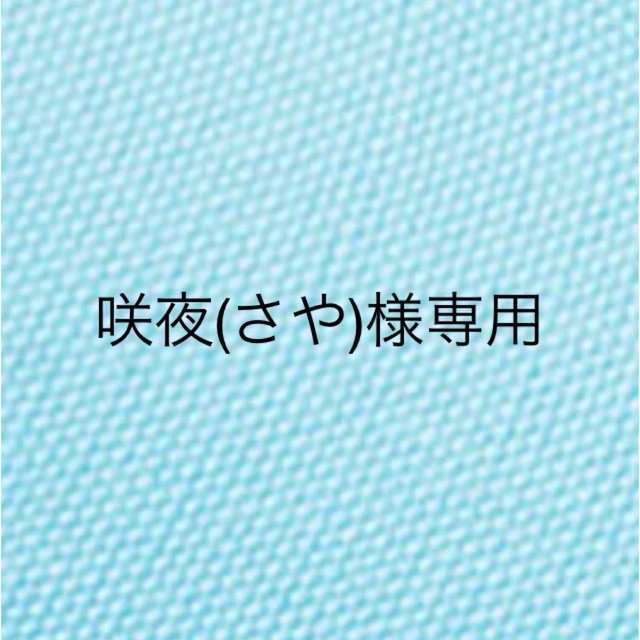 インナーマスク  Ｓサイズ　2枚                    ソフィア ハンドメイドのキッズ/ベビー(外出用品)の商品写真