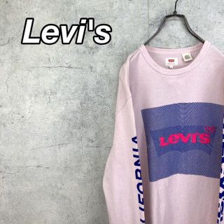 リーバイス(Levi's)の希少 90s リーバイス スウェット ビッグプリント スリーブロゴ 美品.(スウェット)