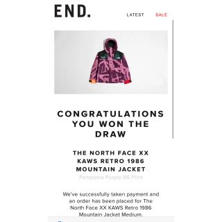 ザノースフェイス(THE NORTH FACE)のTHE NORTH FACE KAWS MOUNTAIN JACKET(マウンテンパーカー)