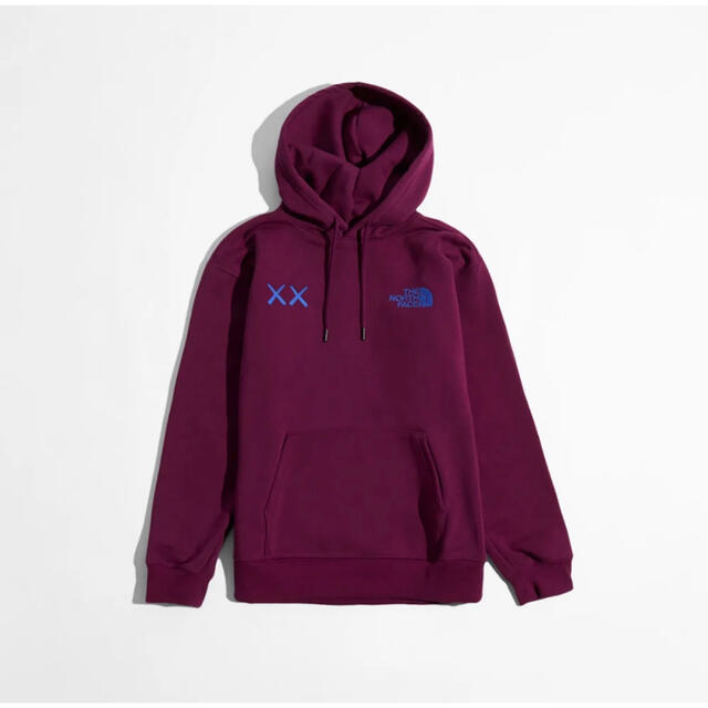 THE NORTH FACE XX KAWSザ ノースフェイスXXカウズフーディ