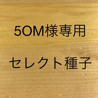 5OM様専用　セレクト種子　4袋(野菜)