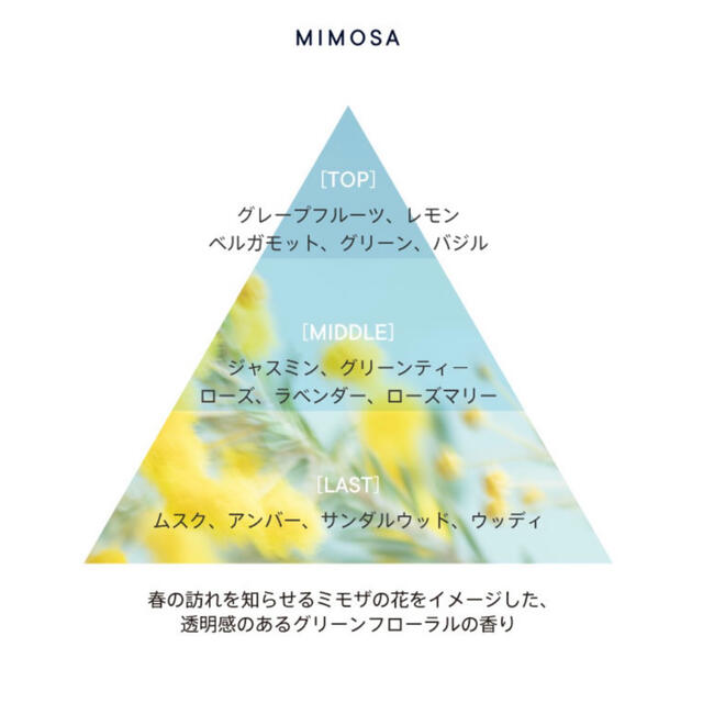 shiro(シロ)のshiro  MIMOSA オイルインヘアセラム コスメ/美容のヘアケア/スタイリング(ヘアケア)の商品写真