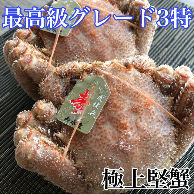 最高級3特ランク 北海道虎杖浜産ボイル冷凍毛蟹400g2尾 cxyoZIIoI5