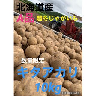 北海道産越冬じゃがいもキタアカリ10kg(野菜)