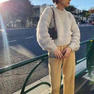 デミルクスビームス(Demi-Luxe BEAMS)の【anz様専用】moose's handmade alpaca knit(ニット/セーター)