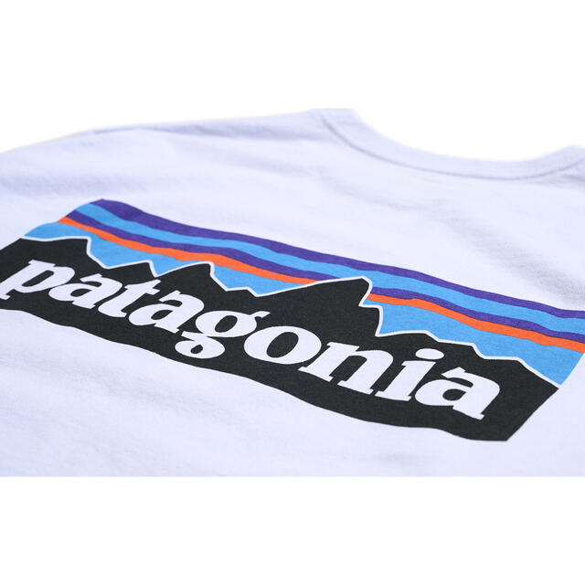 patagonia(パタゴニア)のPatagonia レスポンシビリティー　ロングTシャツ　L メンズのトップス(Tシャツ/カットソー(七分/長袖))の商品写真