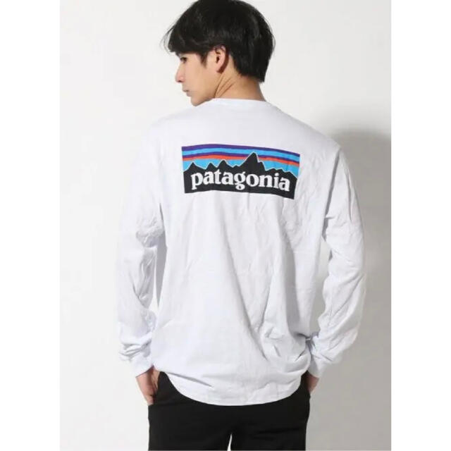 patagonia(パタゴニア)のPatagonia レスポンシビリティー　ロングTシャツ　L メンズのトップス(Tシャツ/カットソー(七分/長袖))の商品写真